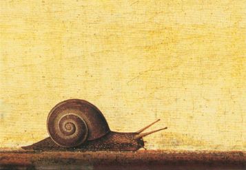O Caracol | Outono 2024