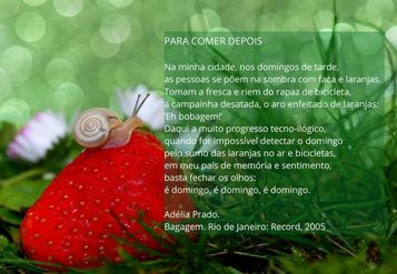 O Caracol - XVIII | Primavera 2025